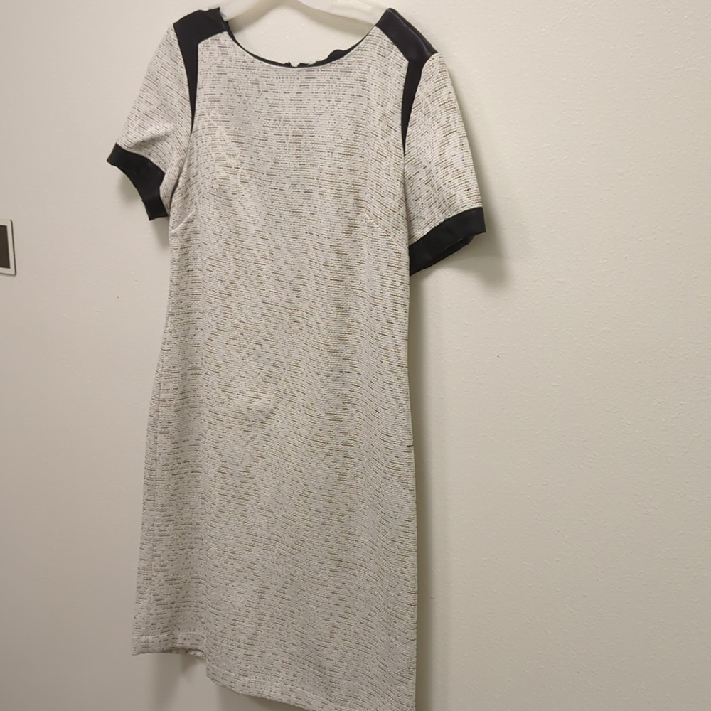 the Ricochet Klee Dress - Full Rear Zip - Flirty & Work Appropriate - Academia